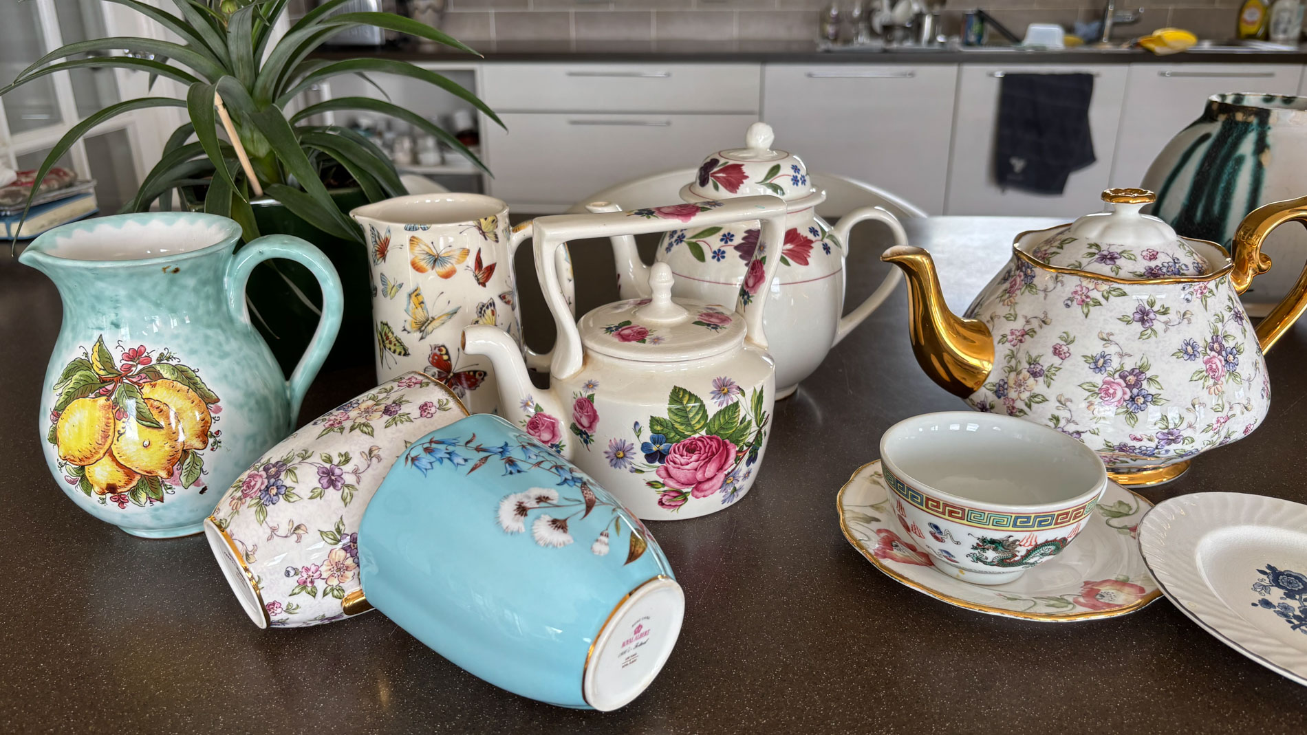 Featured image for “Still Life”